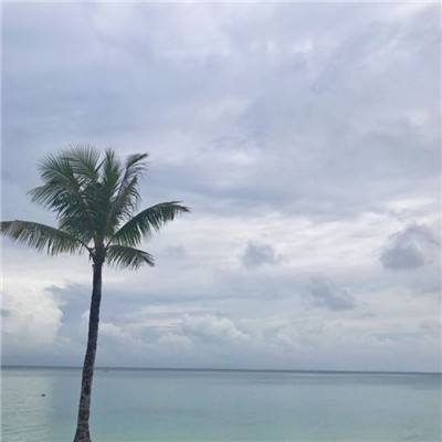 沙巴克之怒手机版(暂未上线)v1.2 安卓版