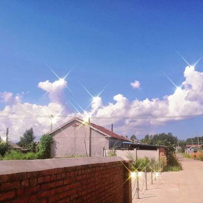 王国新大陆九游版下载