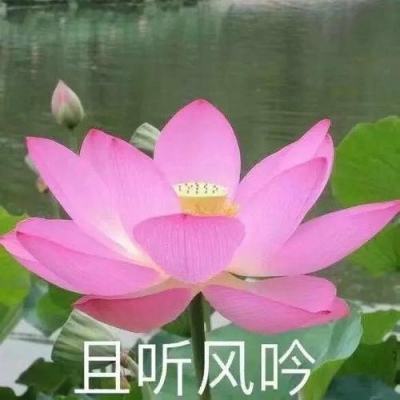 冰雪英雄游戏下载