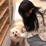 遮天飞仙bt版下载
